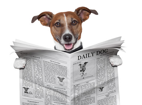 Employment Law Update