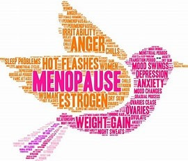 Menopause in the Workplace Employee